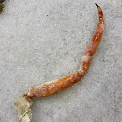 King crab-ben